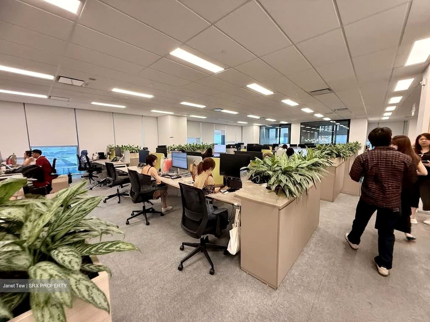 Capitasky (D1), Office #575446141